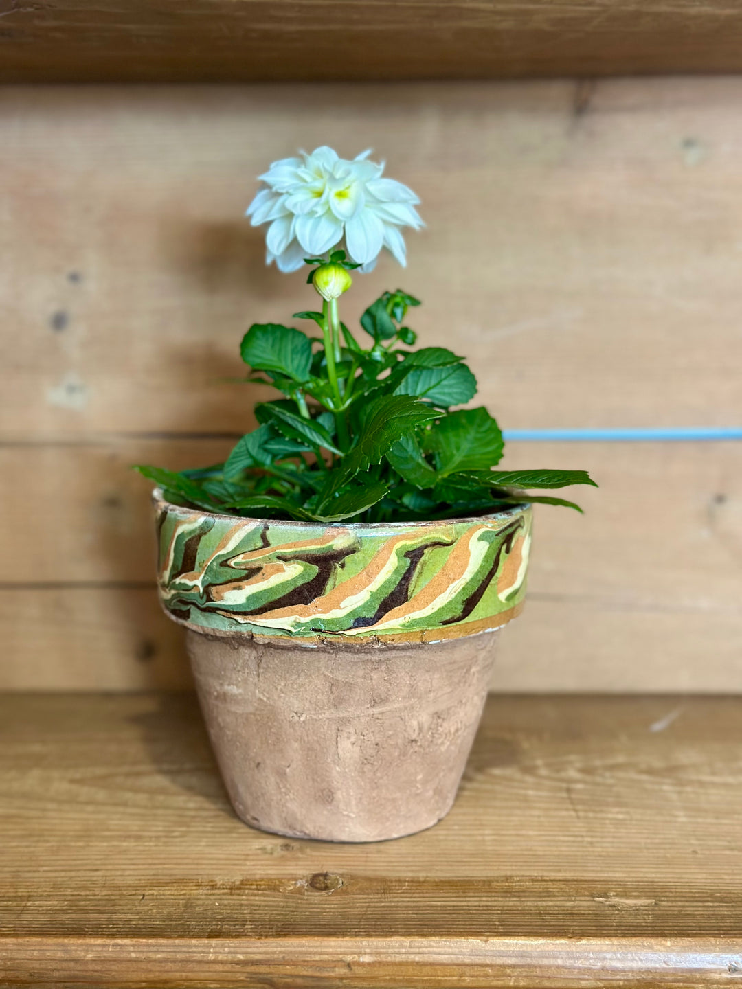 Marbled Terracotta Pot - Medium