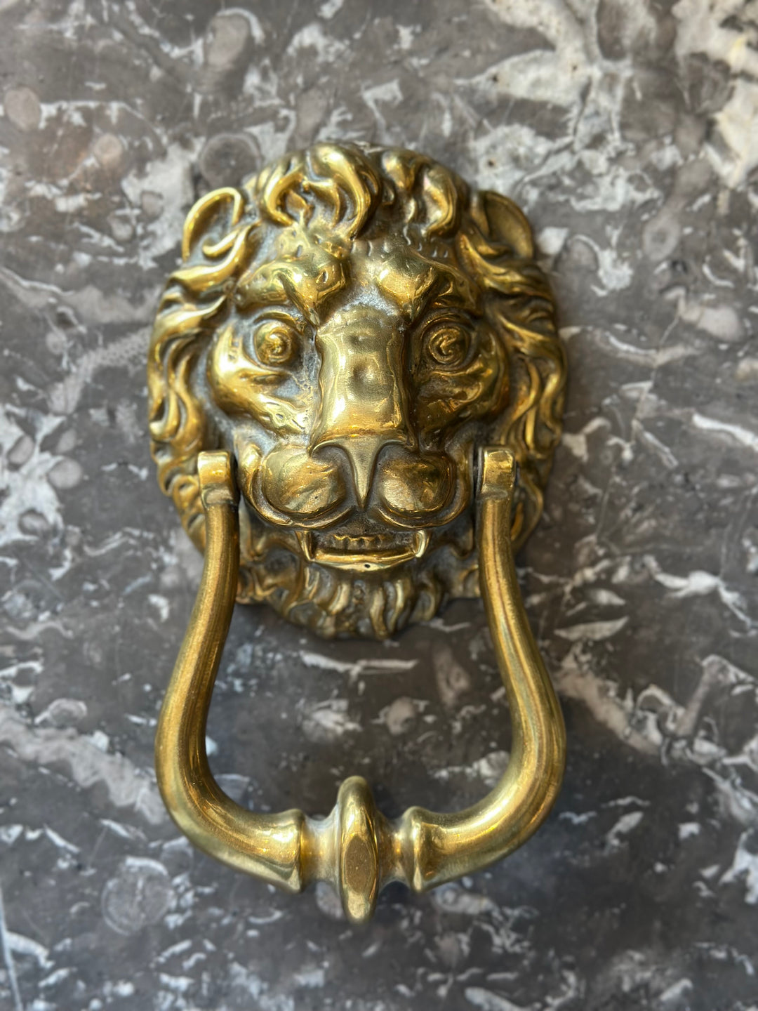 English Brass Lion Door Knocker