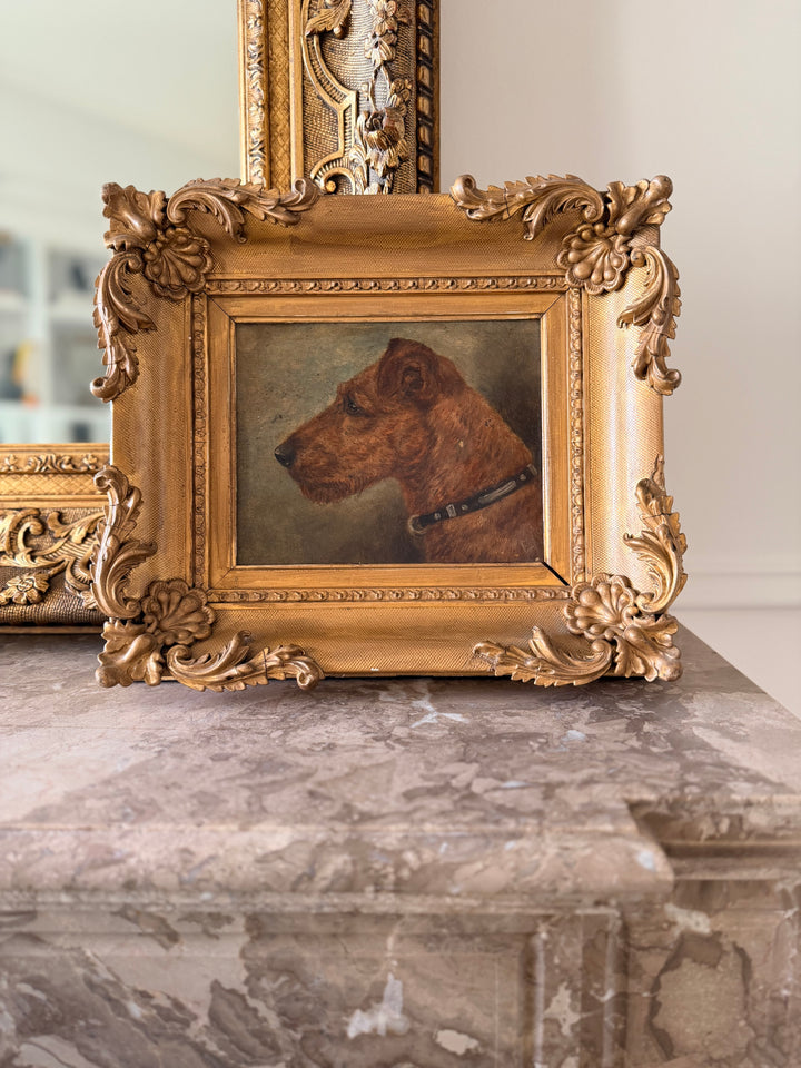 Portrait of a Terrier, England, 19th Century
