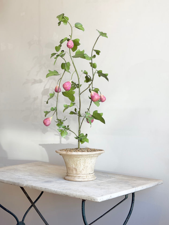 Fig tree tole sculpture in aged terracotta pot, decorative houseplant ornament by Housebound Interiors