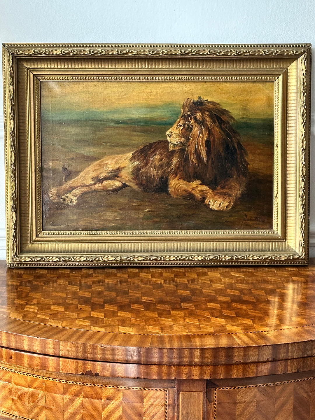 English Oil Study of a Reclining Lion — 19th Century