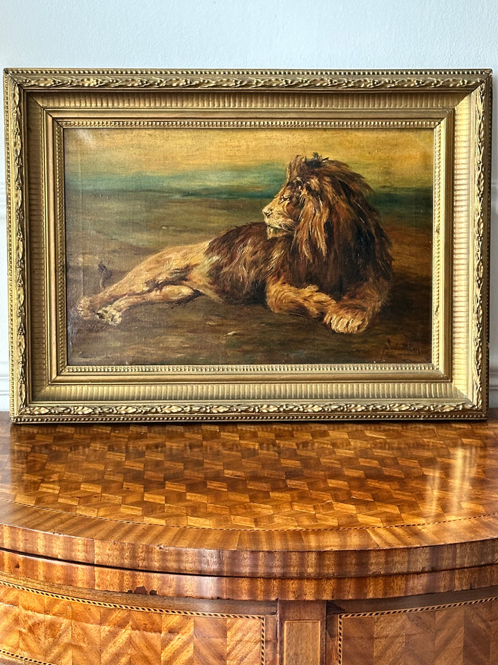 English Oil Study of a Reclining Lion — 19th Century