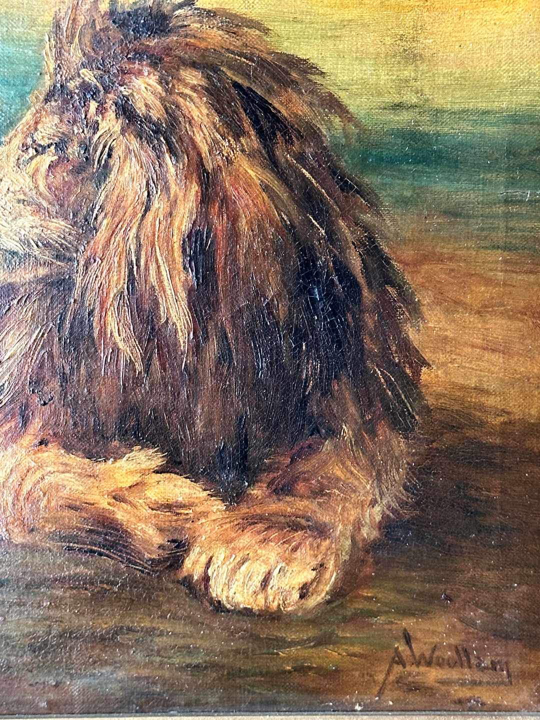 English Oil Study of a Reclining Lion — 19th Century