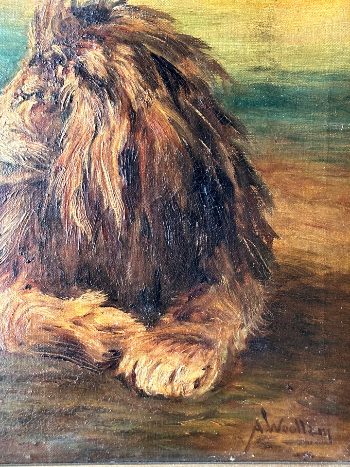 English Oil Study of a Reclining Lion — 19th Century