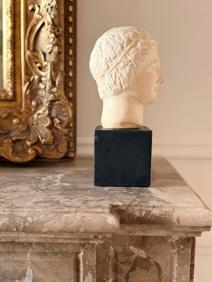 Classical Plaster Study Bust 1959