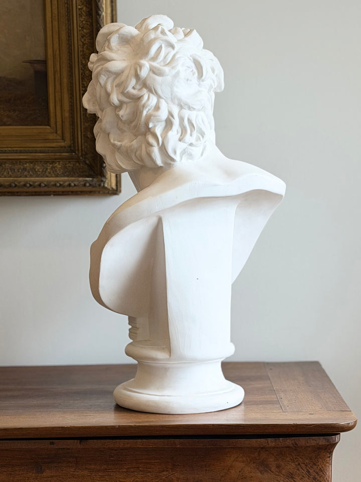 Grand Tour Plaster Bust After the Antique, Patroclus
