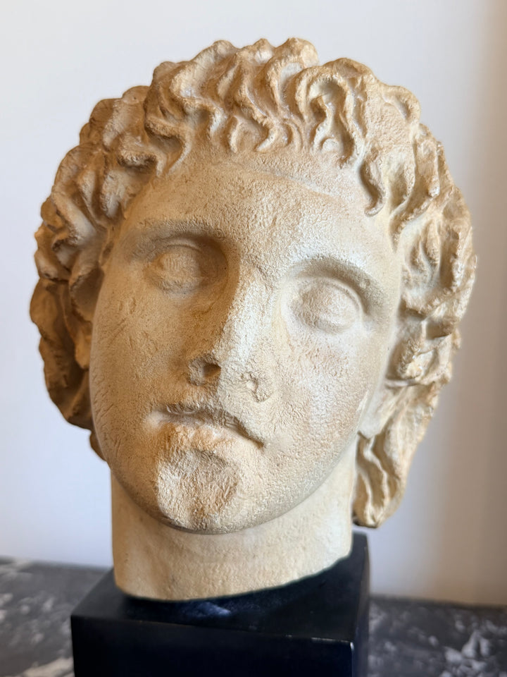 Grand Tour Style Roman Bust