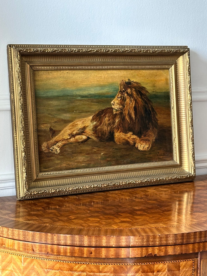 English Oil Study of a Reclining Lion — 19th Century