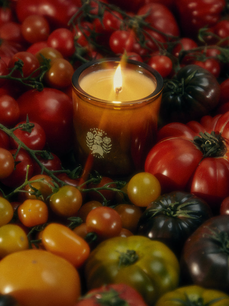 Roma Heirloom Tomato Candle