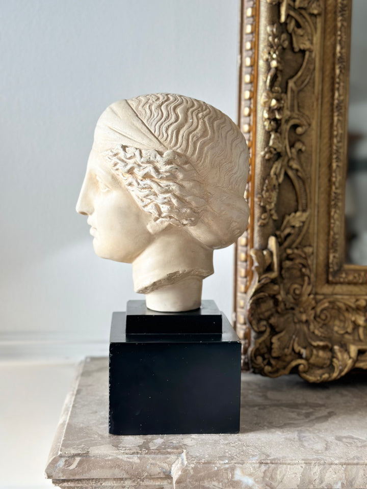 Alva Studios Neoclassical Bust