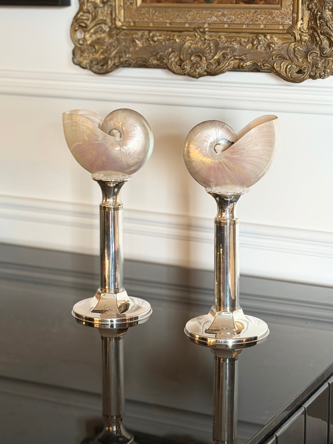 Contemporary Silver Mounted Nautilus Shell Studies - Pair