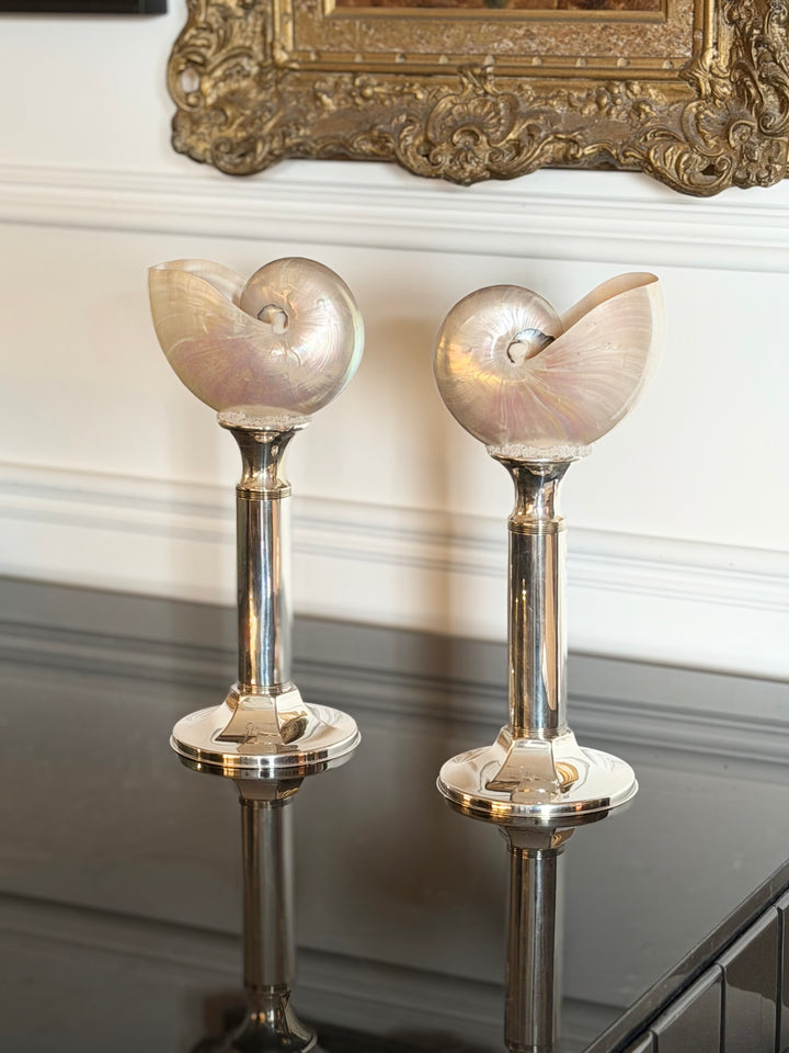 Contemporary Silver Mounted Nautilus Shell Studies - Pair