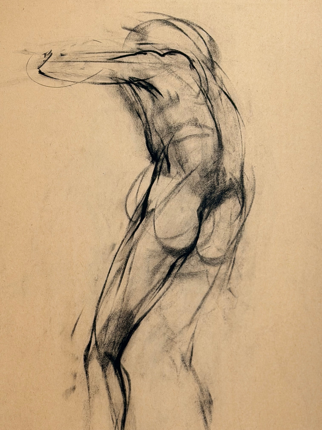 Standing Figure, Study in Motion - Charcoal Study