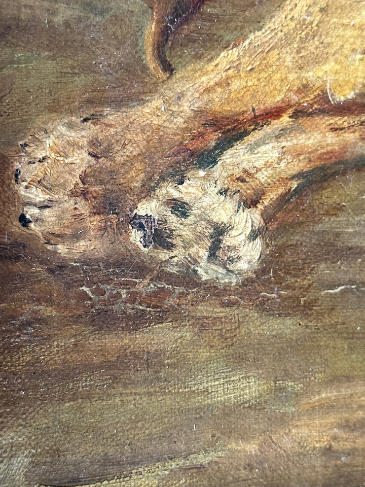 English Oil Study of a Reclining Lion — 19th Century