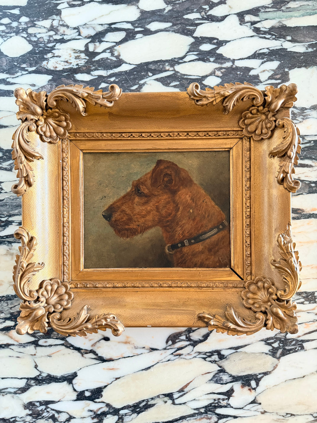 Portrait of a Terrier, England, 19th Century