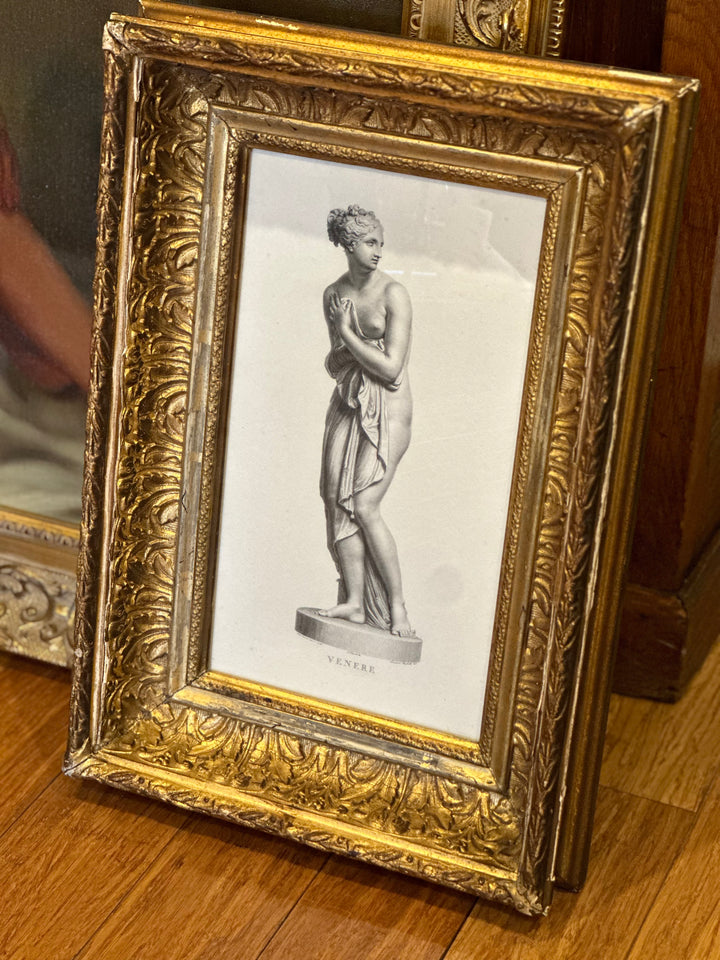 Venus Sculpture Study - 19th Century Gilt Frame