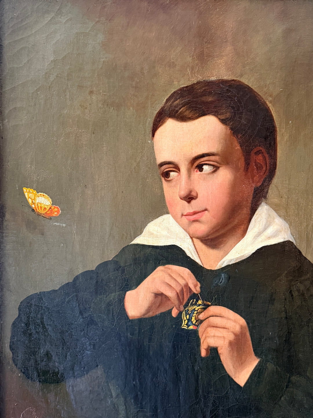 French School Portrait of a Young Gentleman with Butterflies
