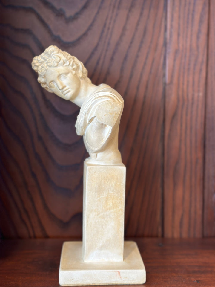 Plaster Apollo Bust