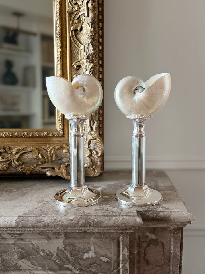 Contemporary Silver Mounted Nautilus Shell Studies - Pair