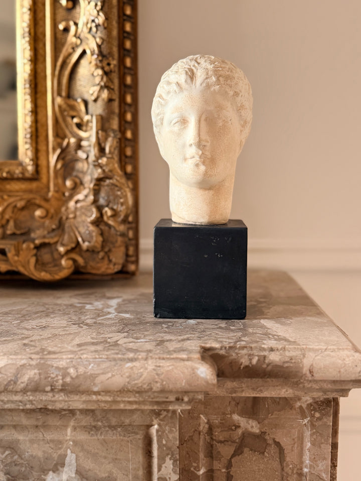 Classical Plaster Study Bust 1959