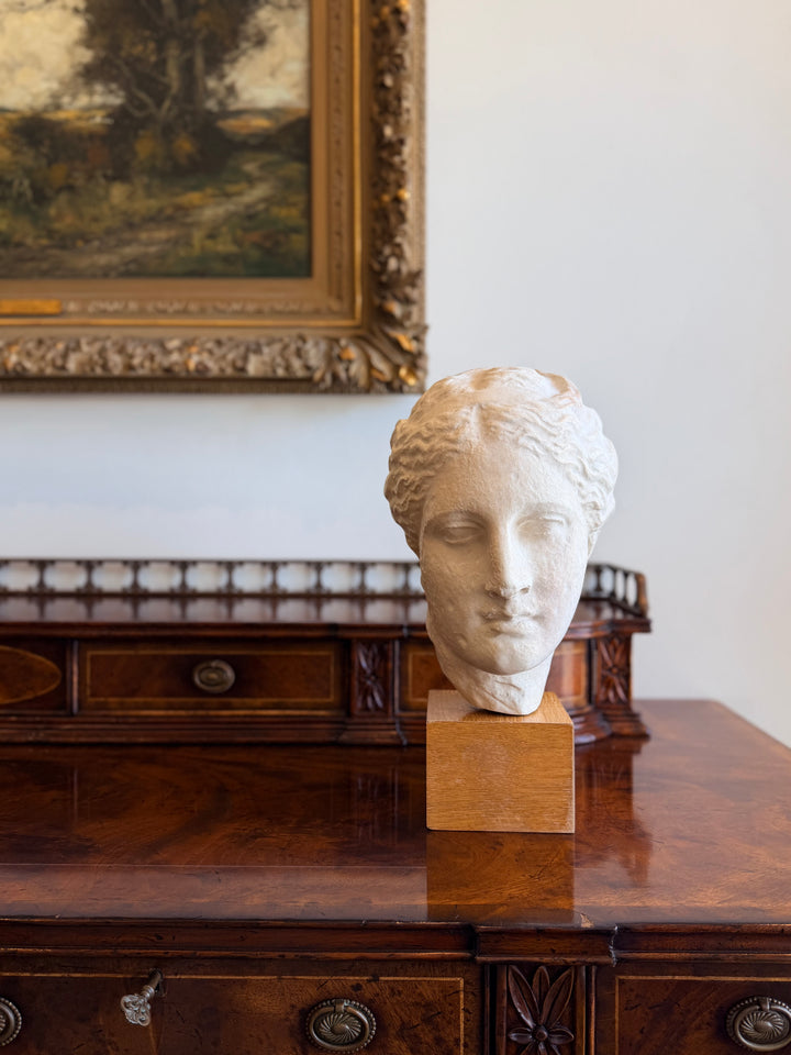 Large bust of Hygeia sculpture from the 20th century, crafted by Housebound Interiors, displaying detailed facial features and classical style.