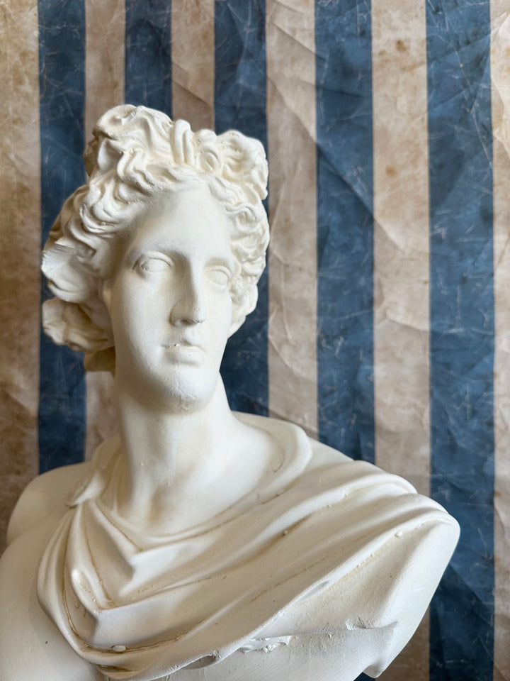 Large Plaster Apollo Bust