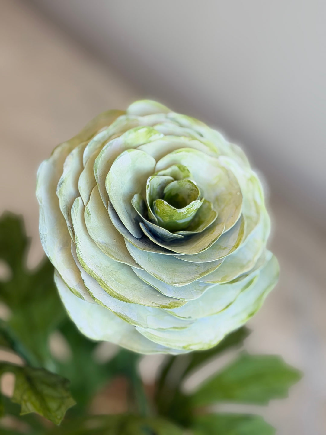Ranunculus Tole sculpture in aged terracotta pot with pale green finish, crafted by Housebound Interiors.