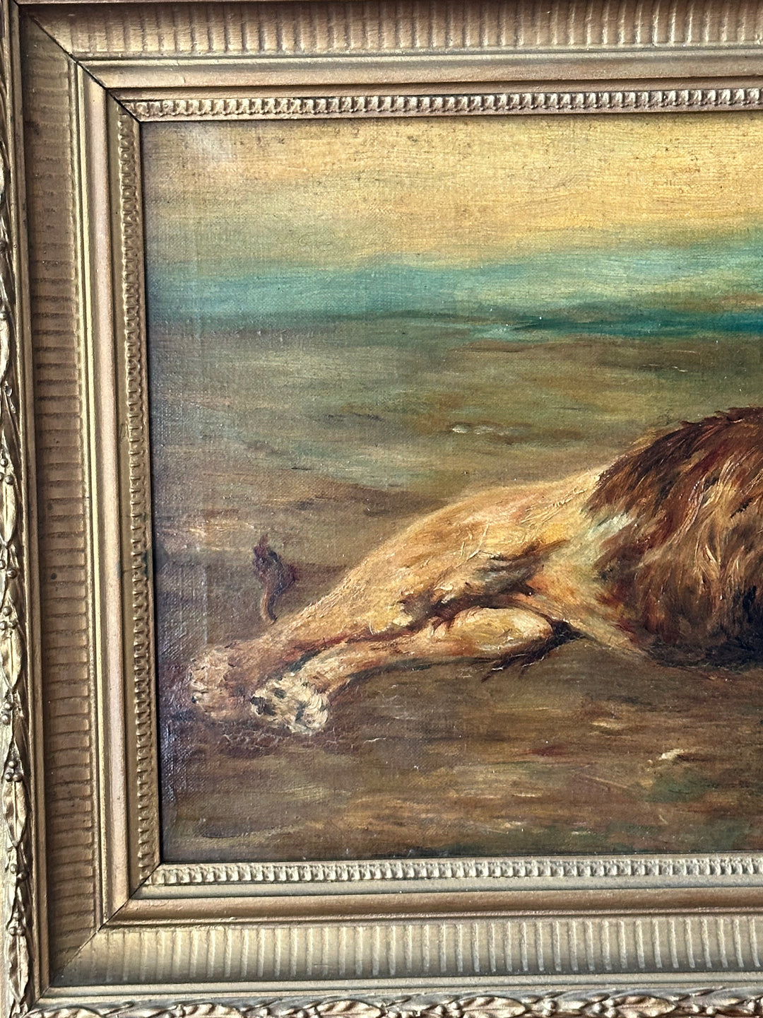 English Oil Study of a Reclining Lion — 19th Century