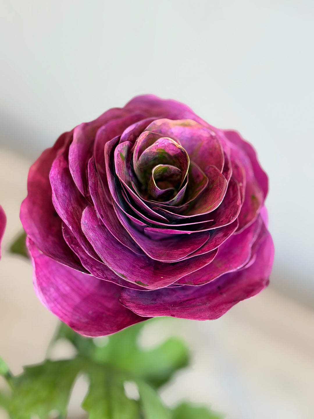 Ranunculus Tole sculpture in aged terracotta pot with vibrant magenta flowers, crafted by Housebound Interiors.