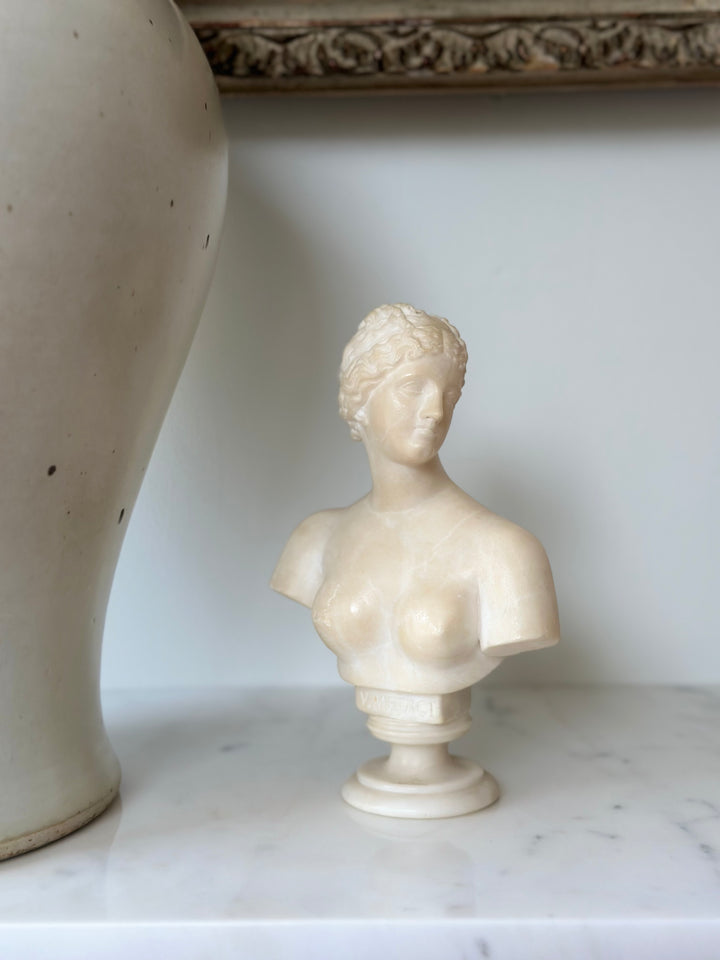 19th Century Carved Marble Venus Bust