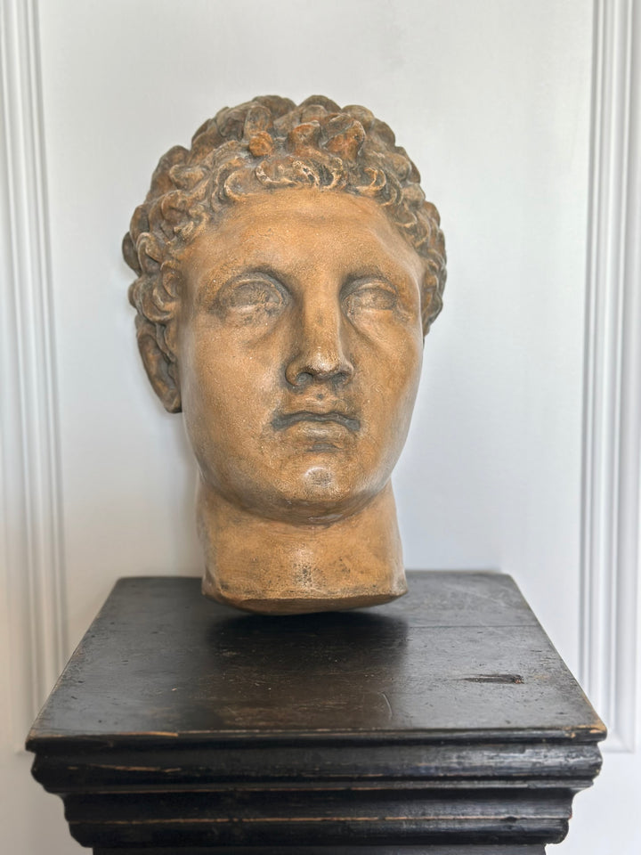 Large Neoclassical Plaster Wall Bust
