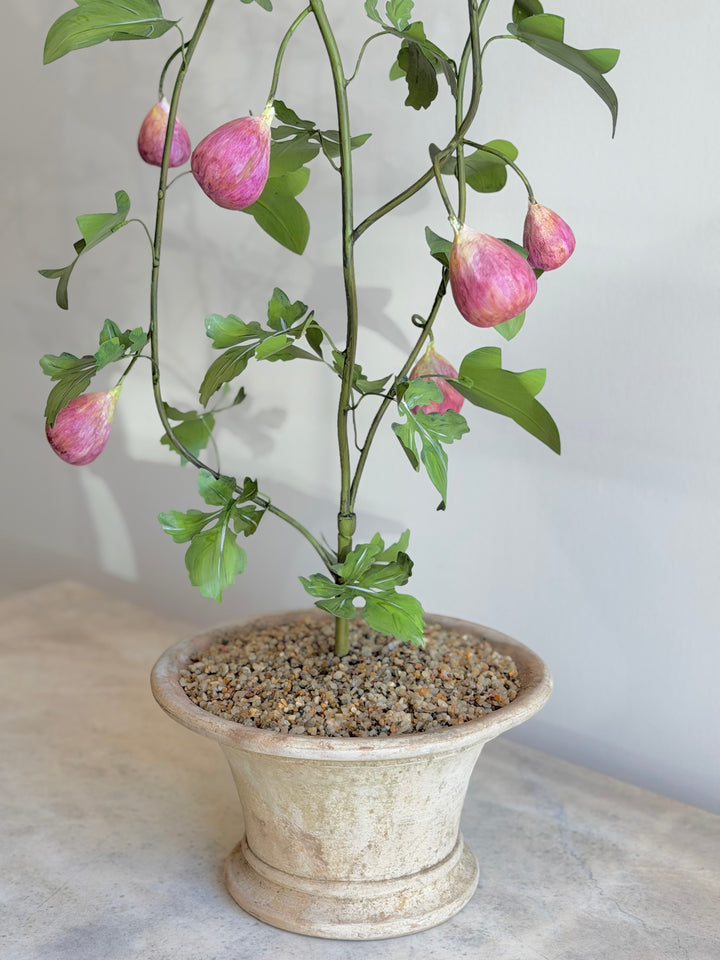Fig tree tole sculpture in aged terracotta pot by Housebound Interiors, showcasing detailed craftsmanship and rustic design.