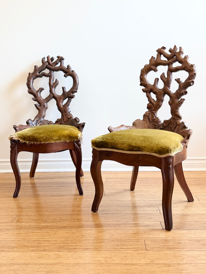 Rare 19th Century Carved Wood Black Forest Chairs - Italy