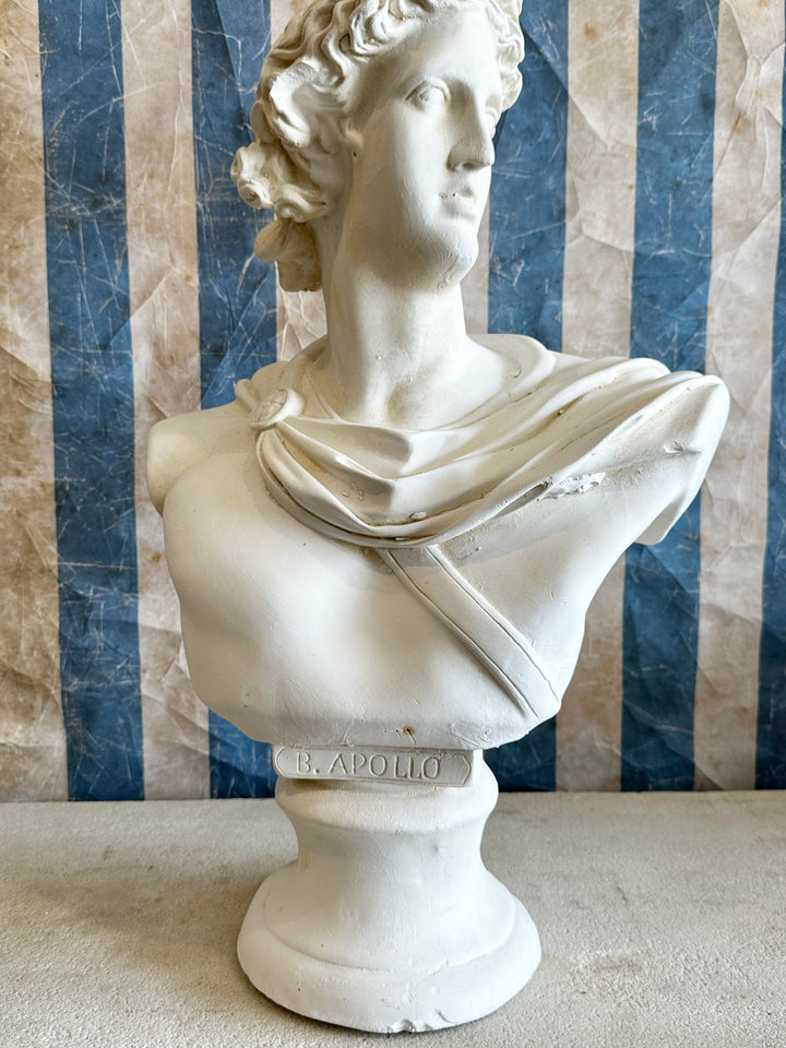 Large Plaster Apollo Bust