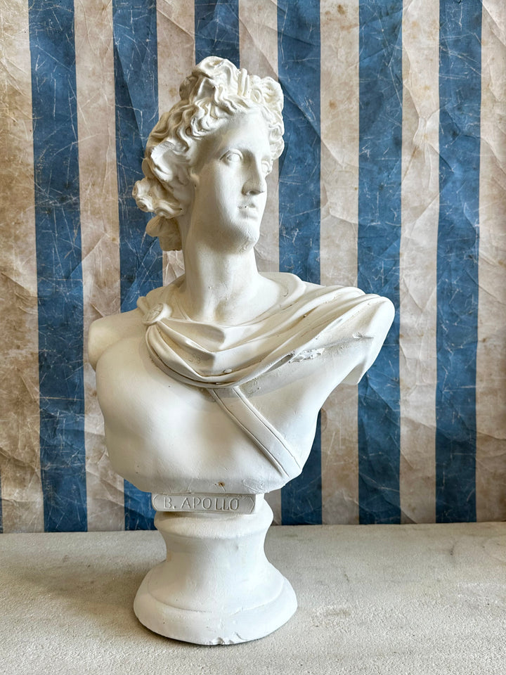 Large Plaster Apollo Bust