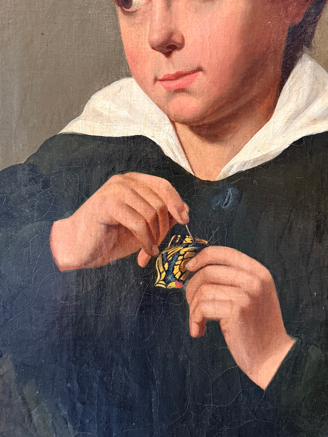 French School Portrait of a Young Gentleman with Butterflies