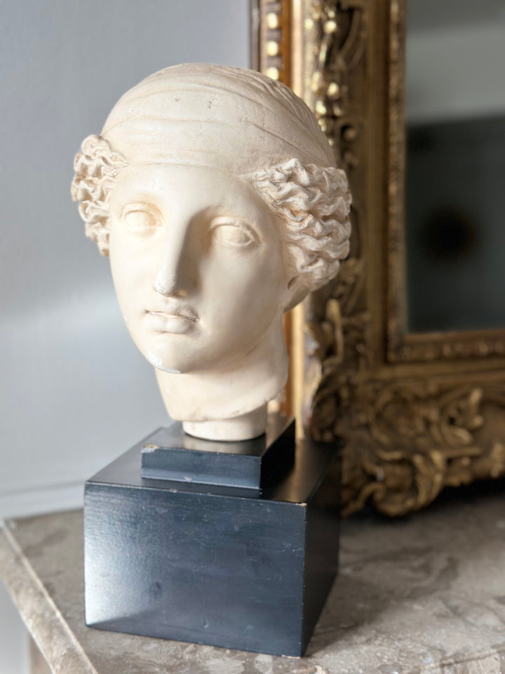 Alva Studios Neoclassical Bust