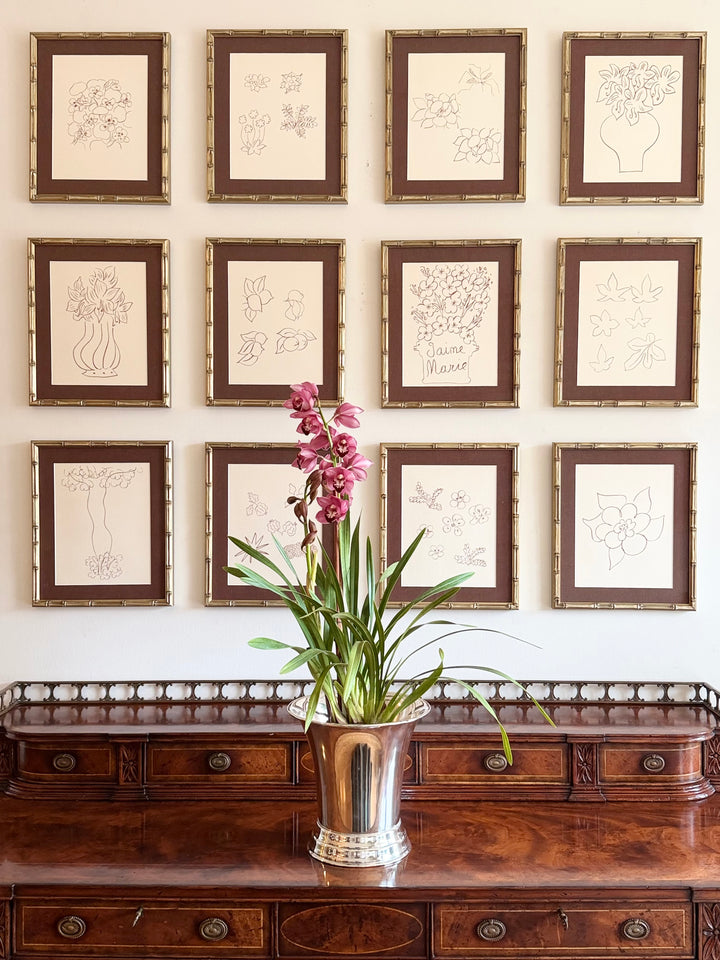 Suite of Twelve Framed Botanical Lithographs - Henri Matisse 1950