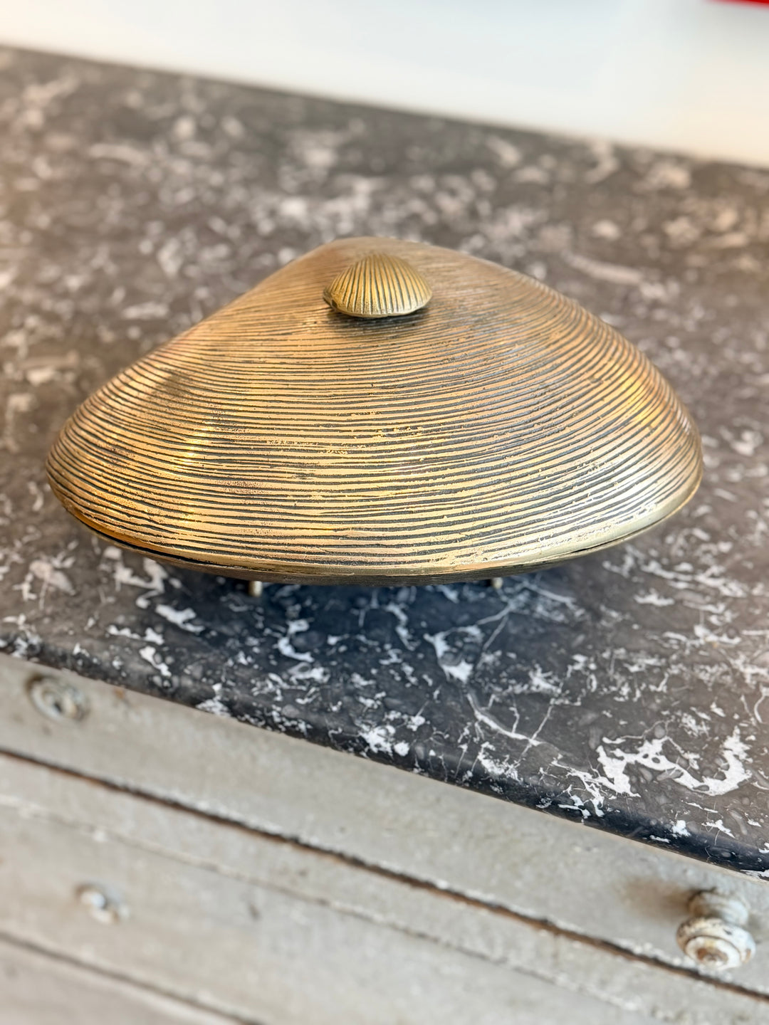 Large Sculptural Ribbed Brass Clam Shell Box with Lid