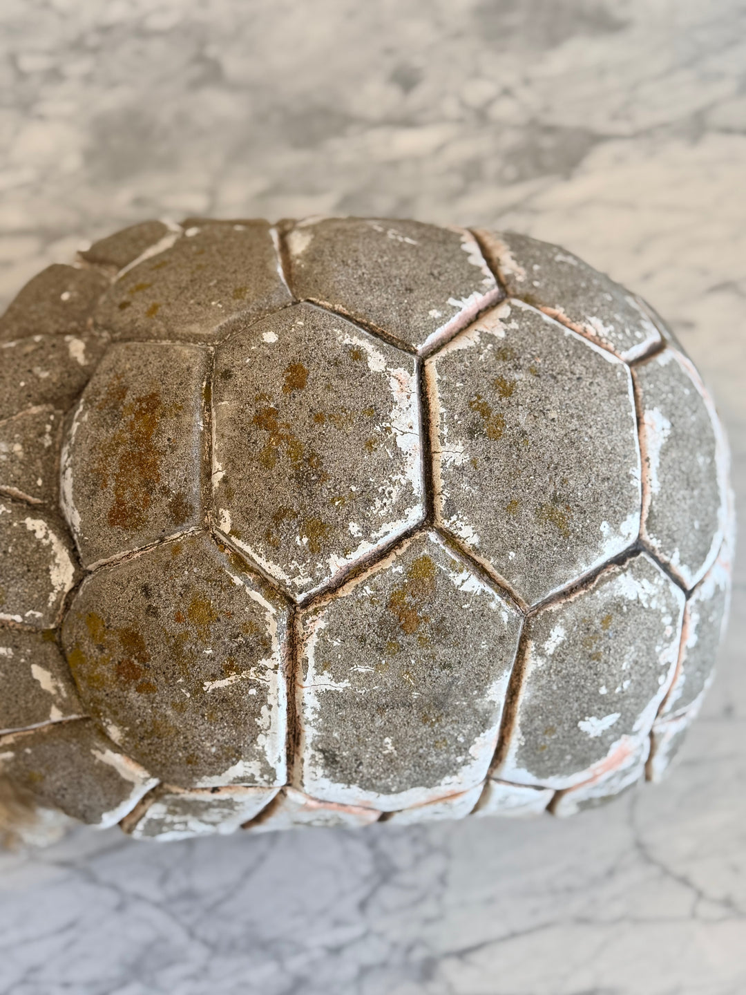 Italian Mid-20th Century Garden Turtle Fountain Sculpture by Housebound Interiors, showing a detailed stone turtle fountain for outdoor decor.