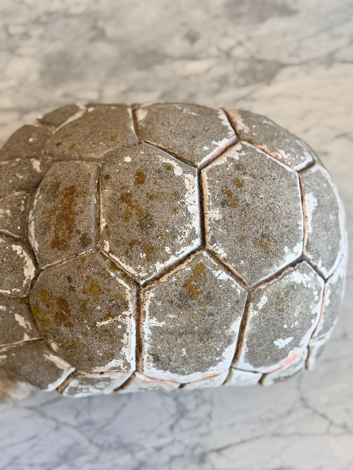Italian Mid-20th Century Garden Turtle Fountain Sculpture by Housebound Interiors, showing a detailed stone turtle fountain for outdoor decor.
