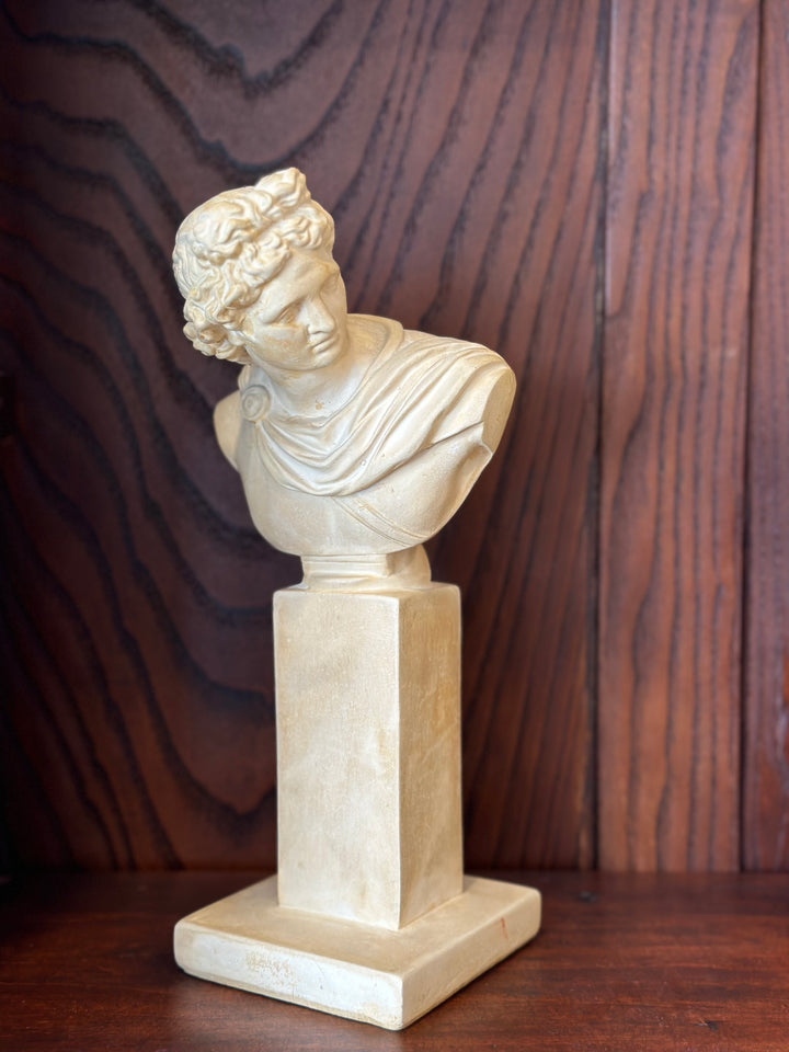 Plaster Apollo Bust