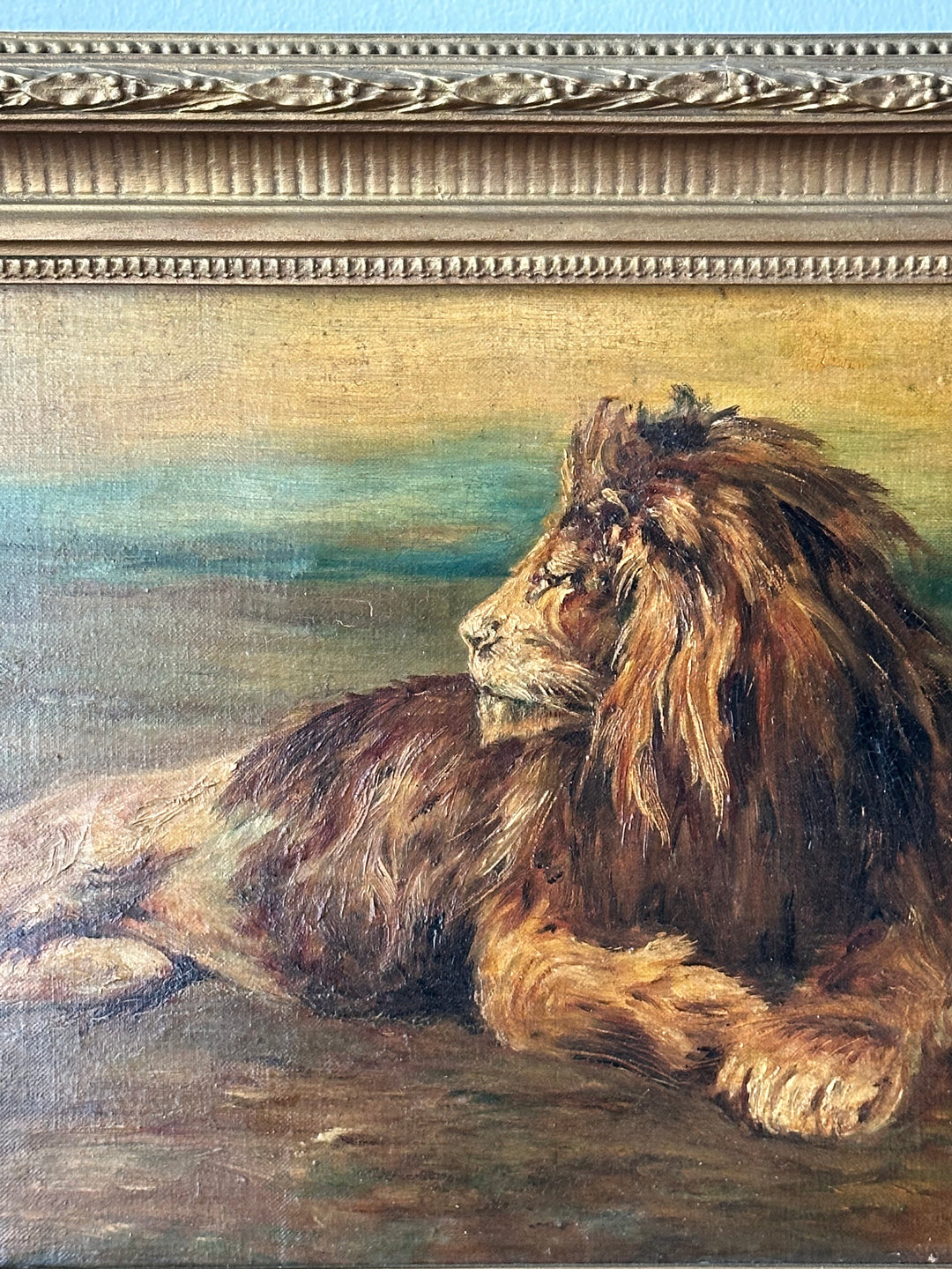 English Oil Study of a Reclining Lion — 19th Century