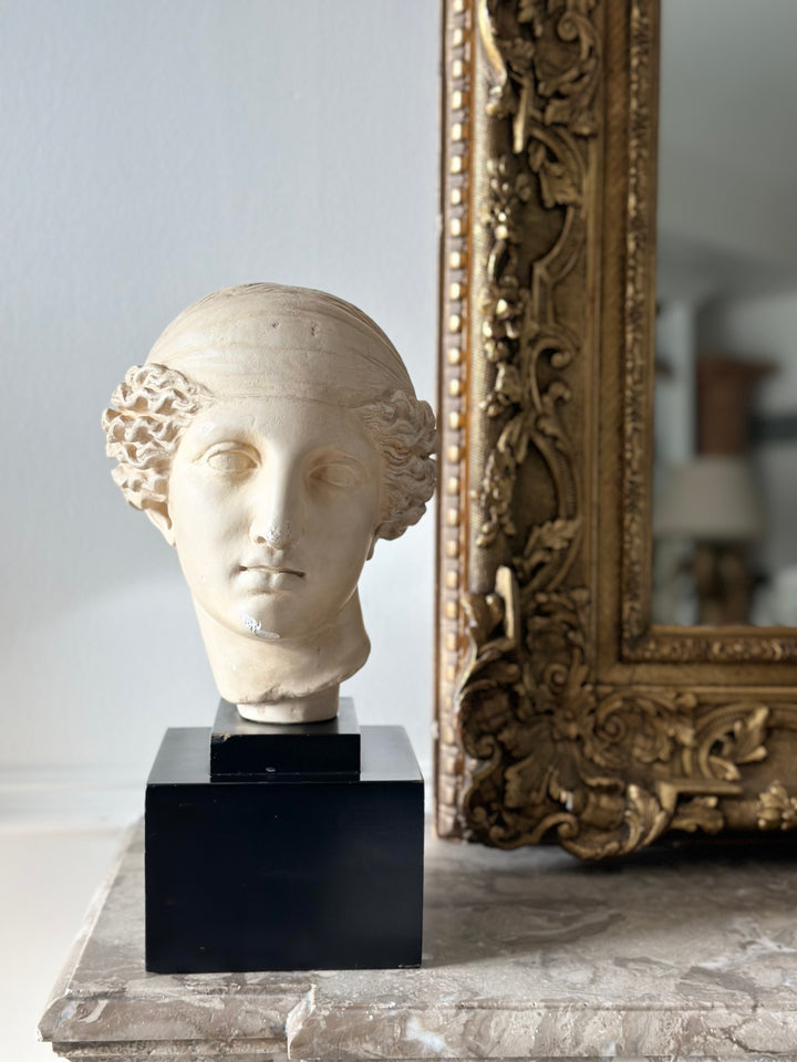 Alva Studios Neoclassical Bust