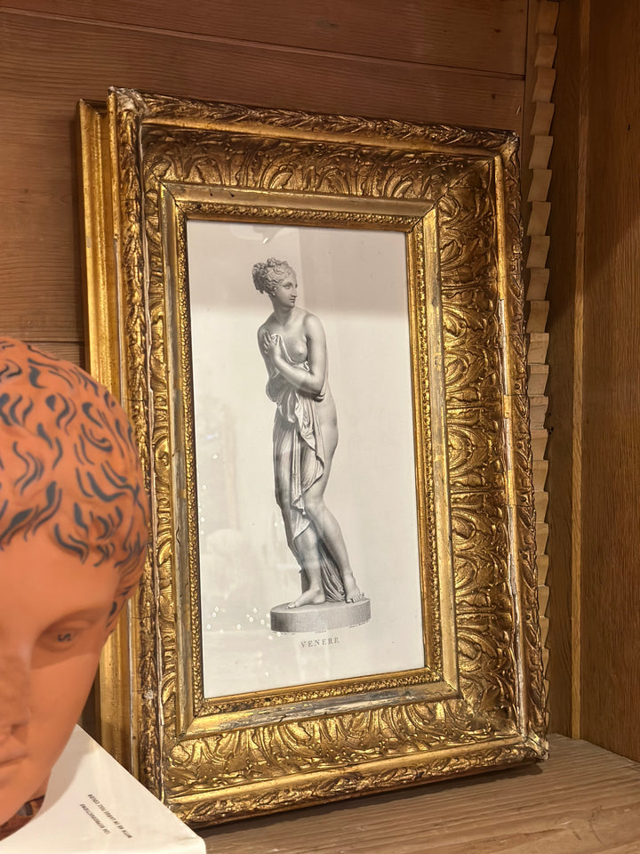 Venus Sculpture Study - 19th Century Gilt Frame