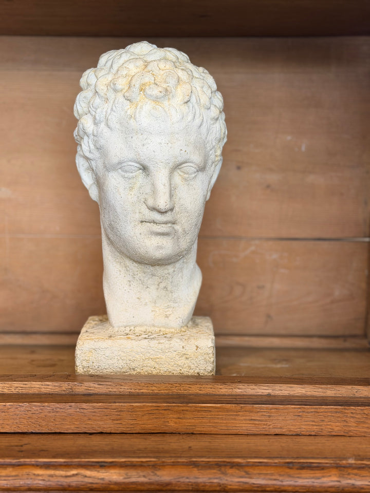 Full view of Housebound Interiors Mid-Century Italian Garden Bust, detailed stone sculpture with classic design.
