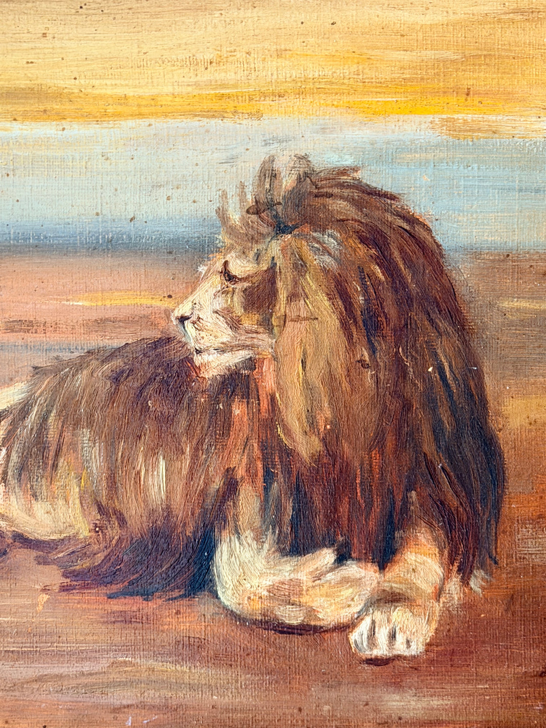 Reclining Lion in an Open Landscape
English School, 1924