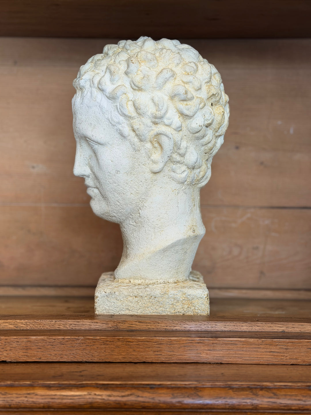 Full view of a Mid-Century Italian garden bust sculpture by Housebound Interiors, featuring detailed facial features and classical design.