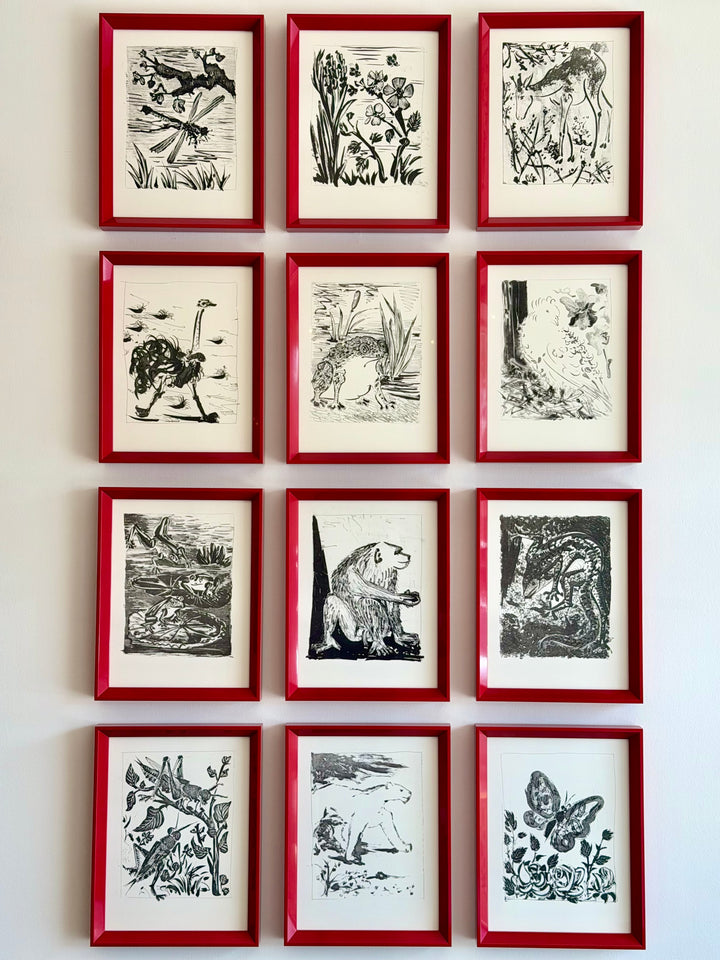 Suite of Twelve Framed Pablo Picasso Buffon Lithographs - 1970s