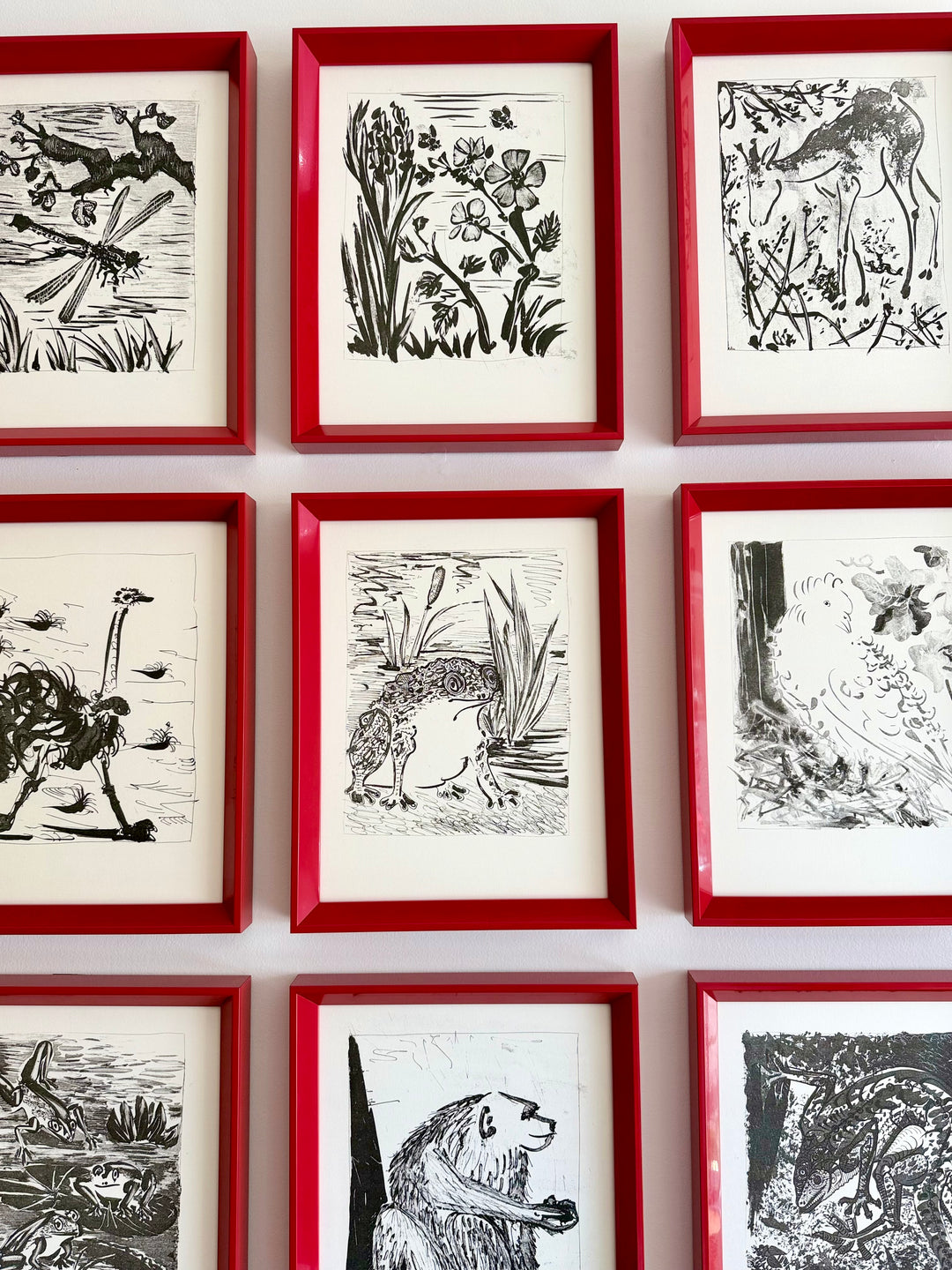 Suite of Twelve Framed Pablo Picasso Buffon Lithographs - 1970s